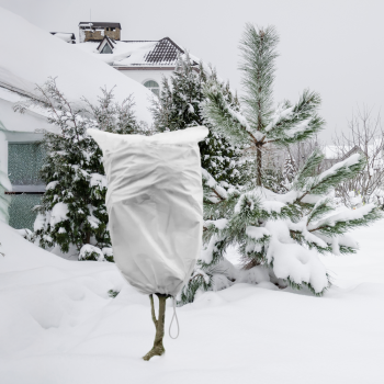 Schutzhauben aus Agrartextilien – 3 Stück  Durchmesser: 38 cm – Länge: 0,6 x 0,8 m